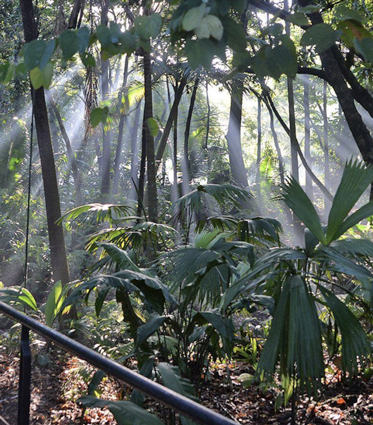 Jardín Botánico